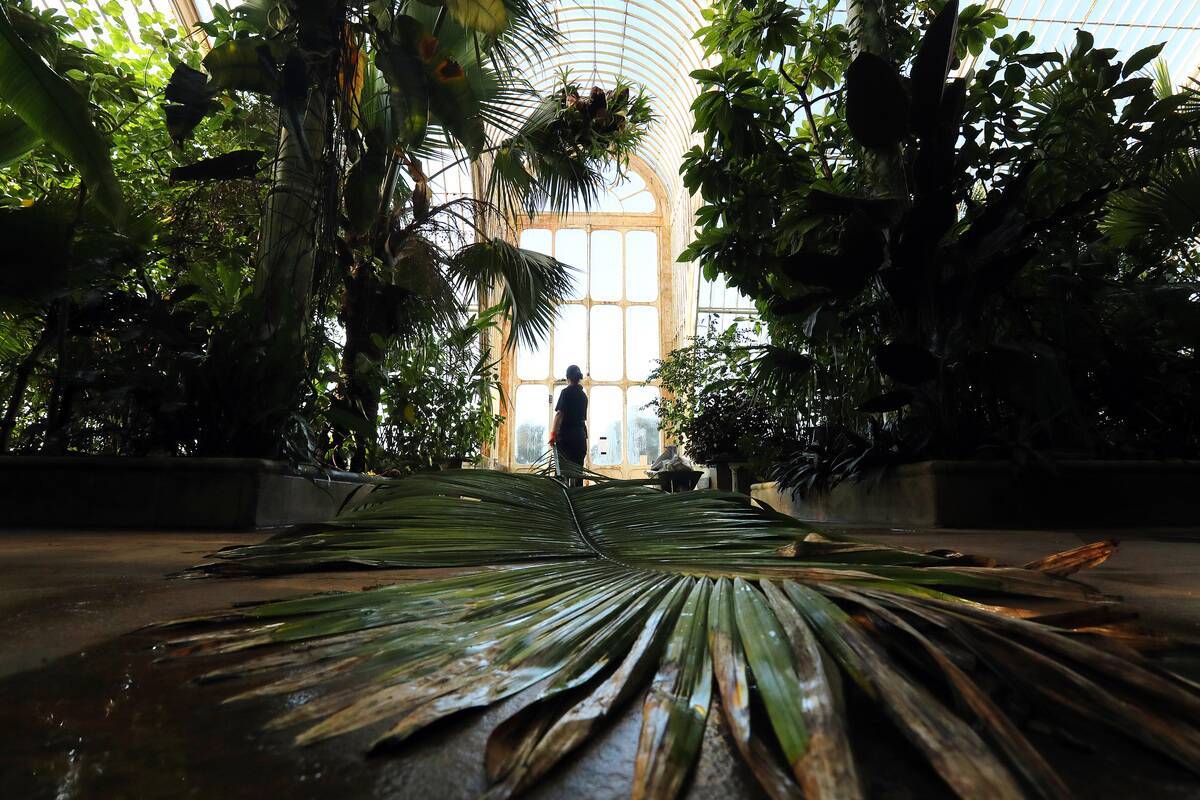 Kew Gardens During England's Third National Lockdown