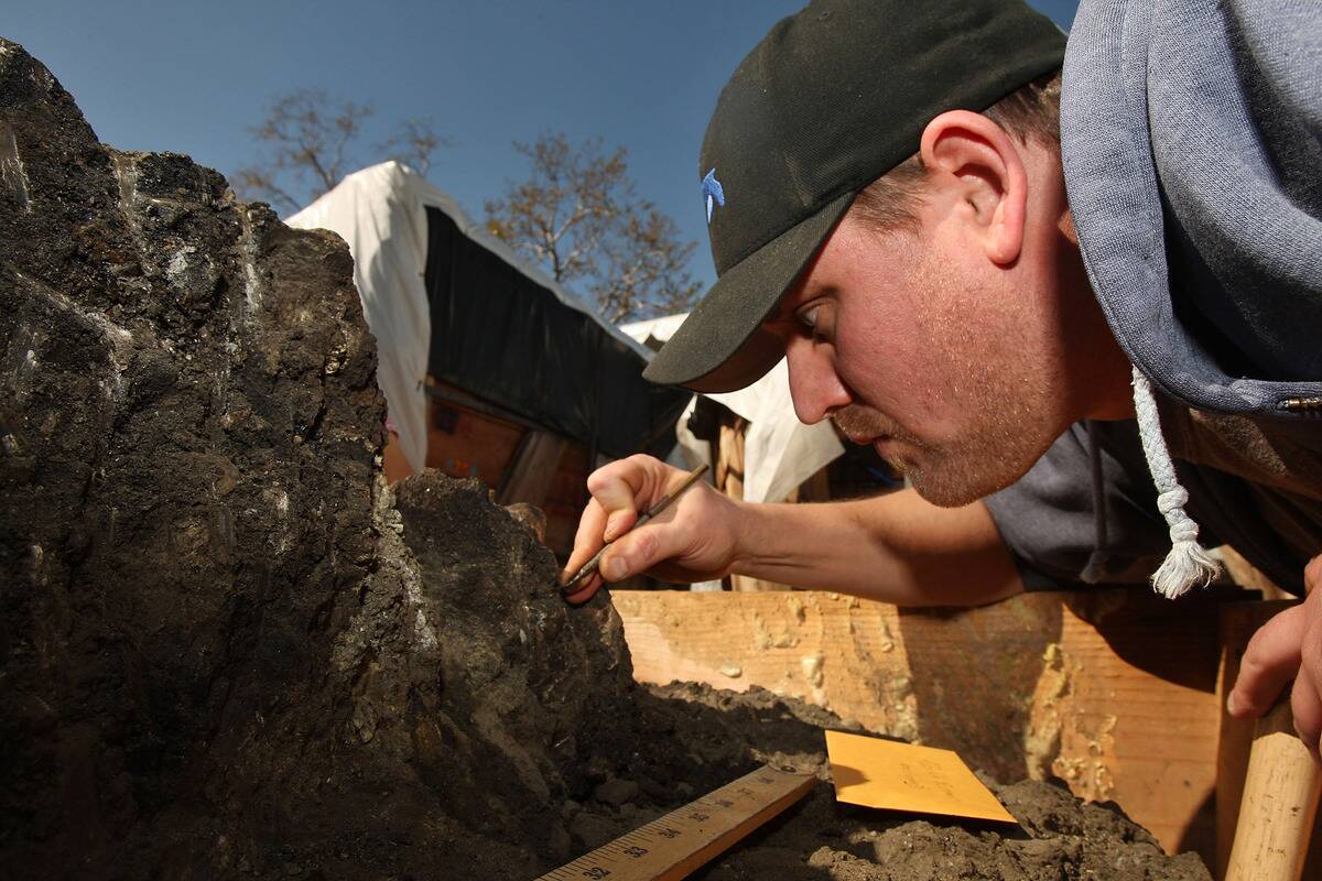 Large Group Of Ice Age Fossils Found During Parking Lot Excavation