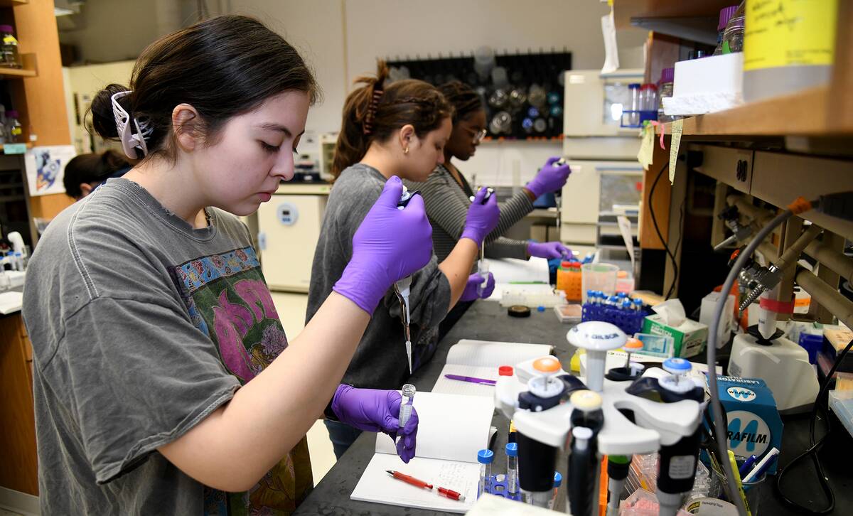 LIFE-CMP-FIRSTGENERATION-STEM-3-BZ