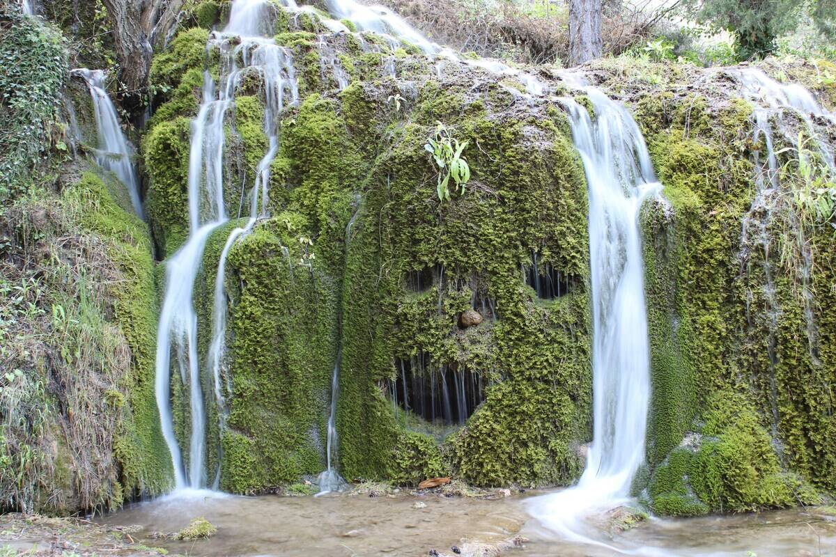 ludovico-ceroseis-rC2go79OtCI-unsplash