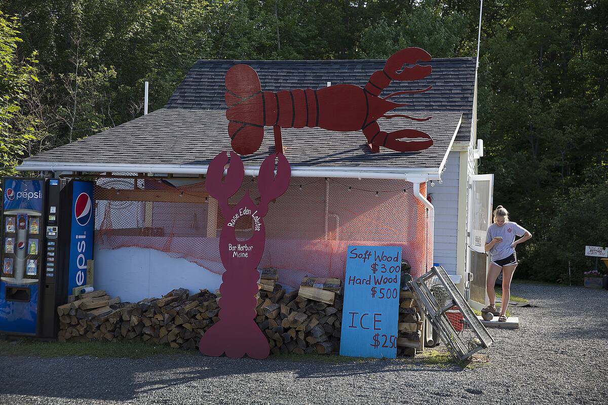Maine's Lobster Industry Benefits From Rising Ocean Temperatures