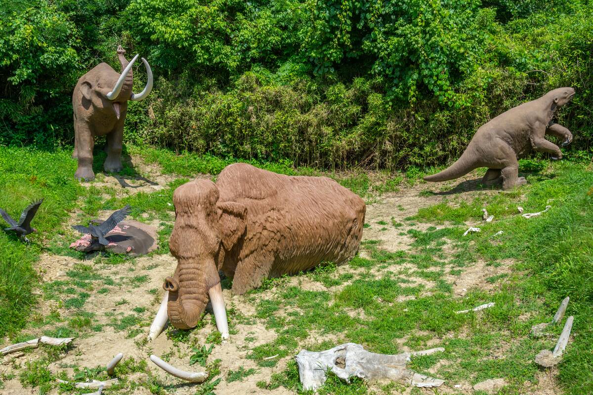 Marsh bog mega fauna diorama at Big Bone Lick State Historic Site in Kentucky, USA
