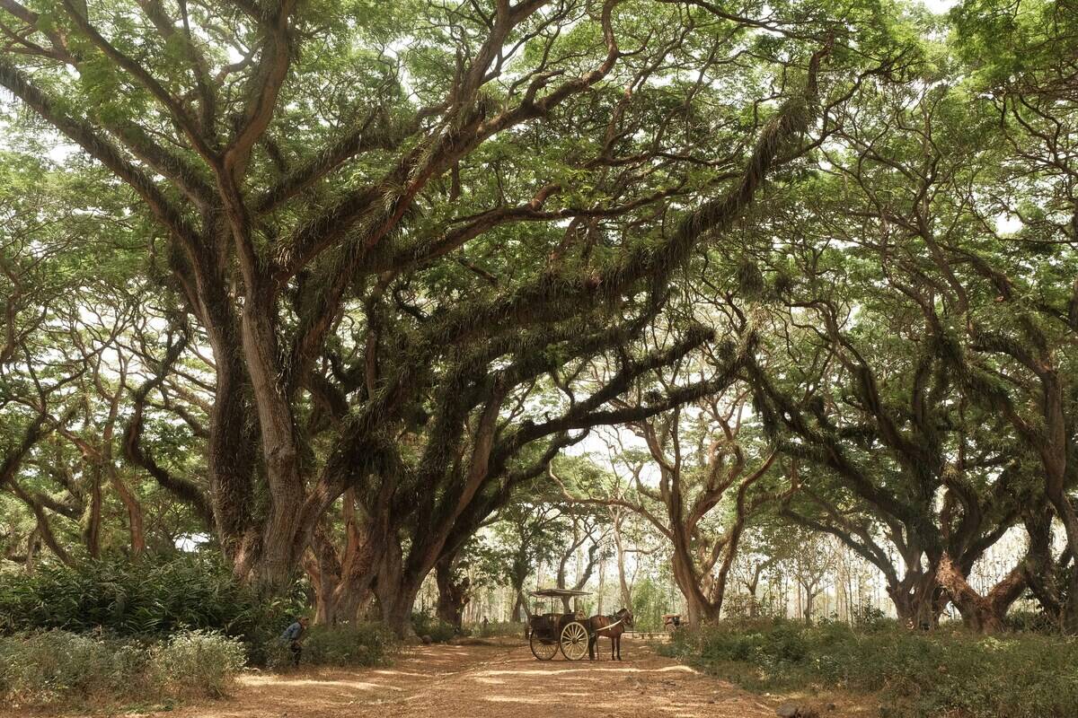 mega-caesaria-CYOUNLg9H4M-unsplash