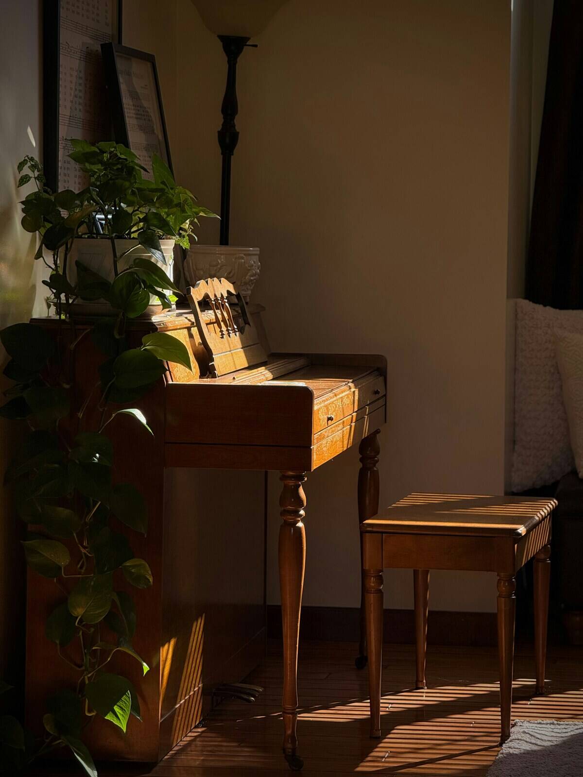 miah-dailey-DtFp_JTqVYA-unsplash