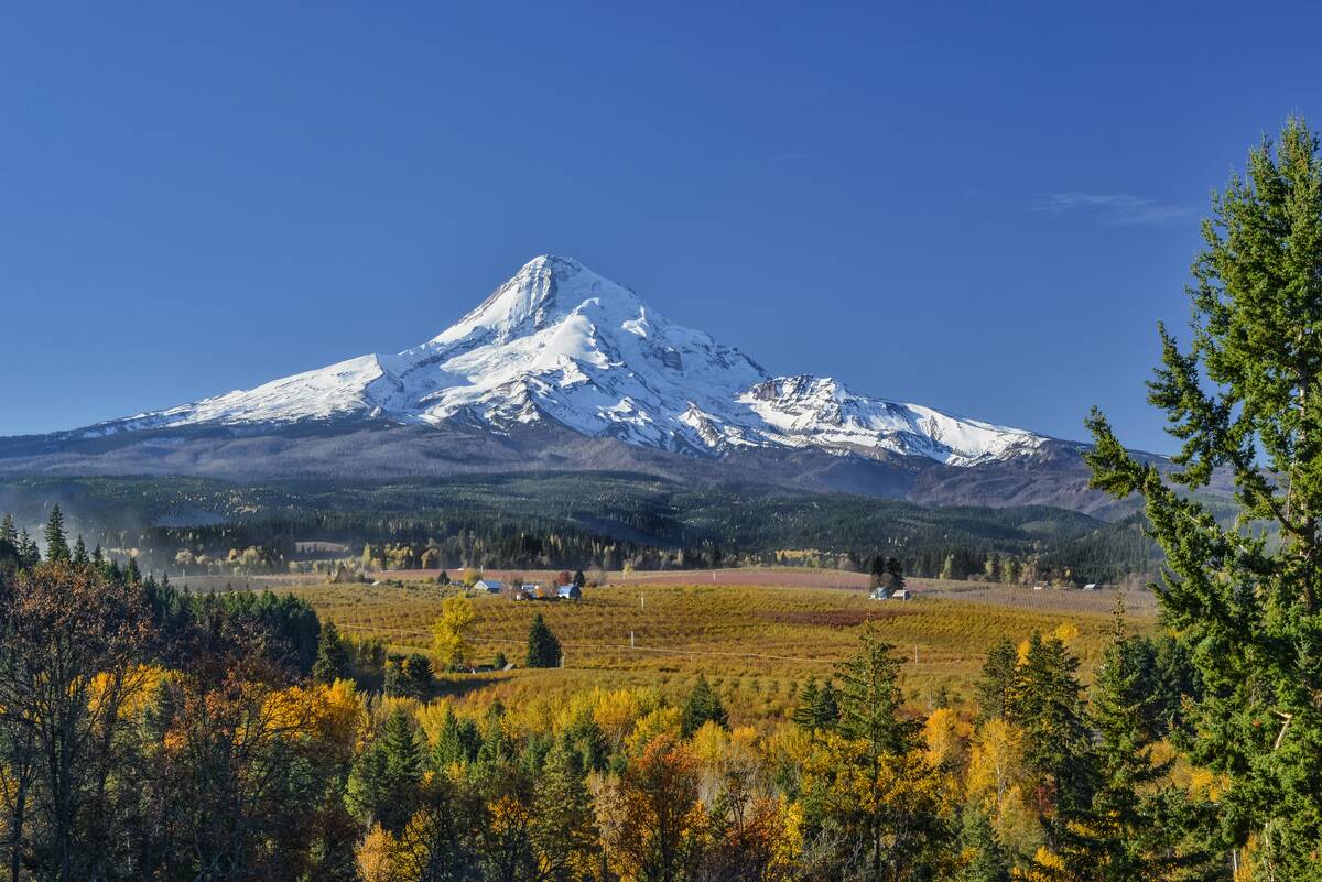 Mount Hood and valley view from Mount Hood Organic Farms