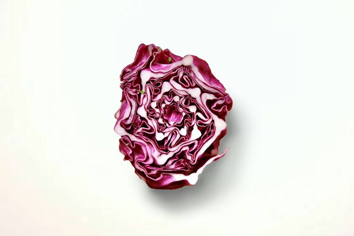 natalie-runnerstrom-NetTkNVgdm8-unsplash