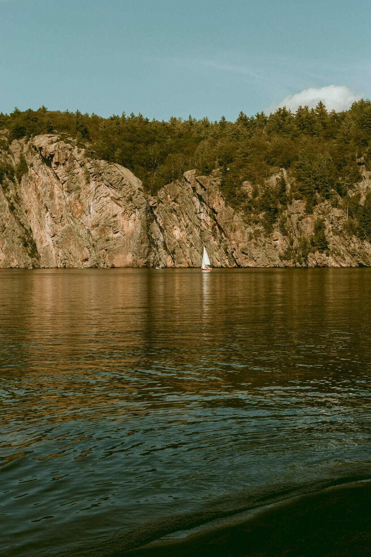 natasha-reddy-XDYVzTl9bLE-unsplash