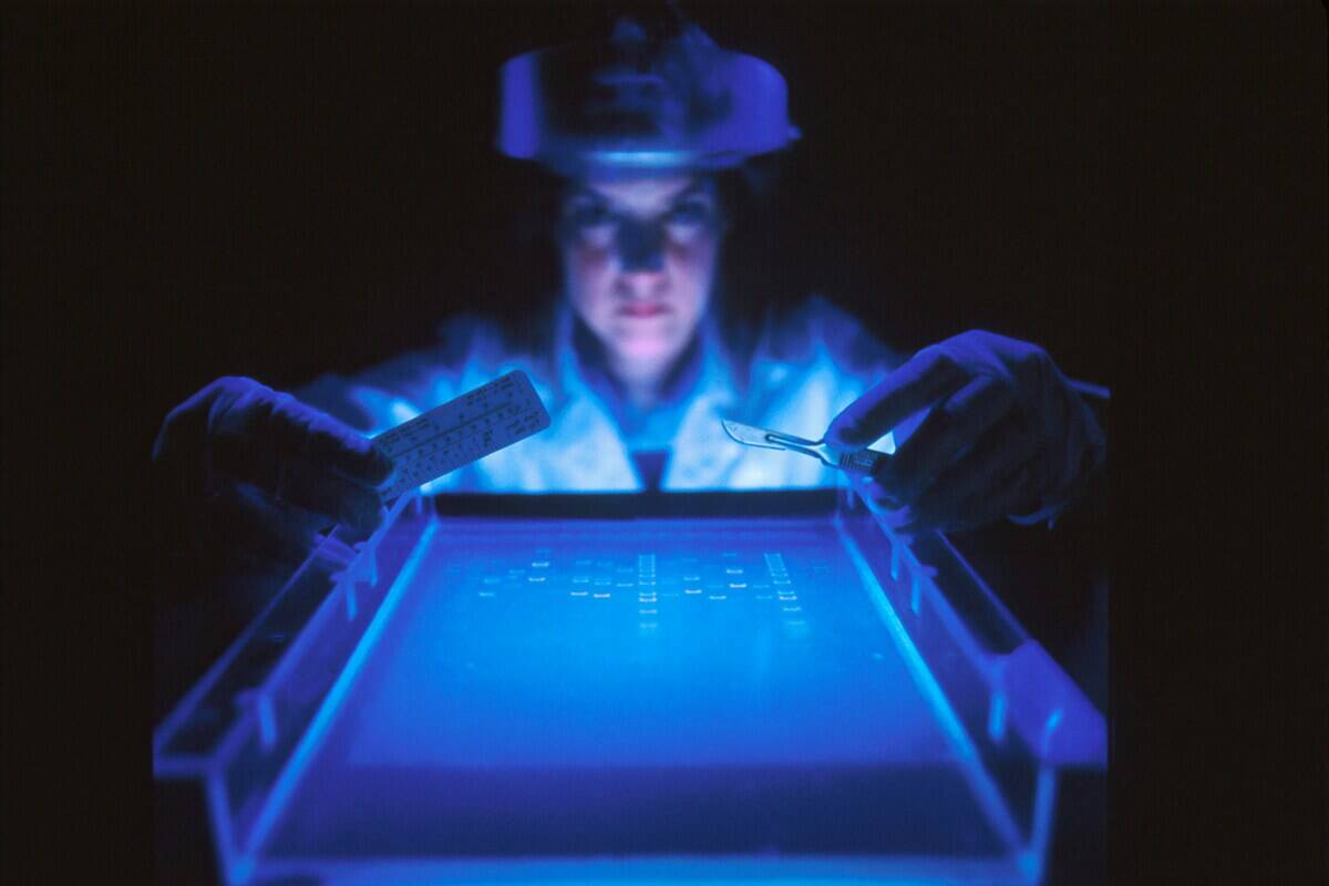 national-cancer-institute-tV-RX0beDp8-unsplash