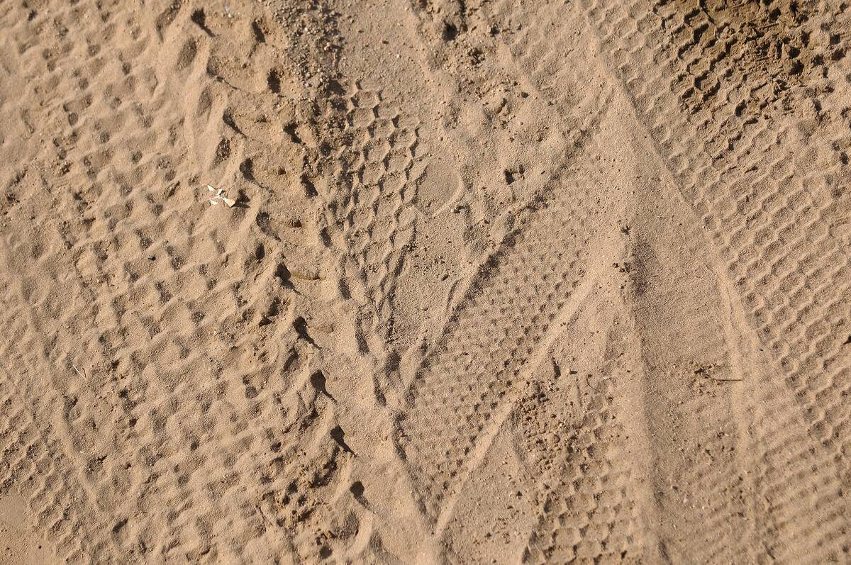 Off Highway Vehicles Tire Marks on Desert Floor