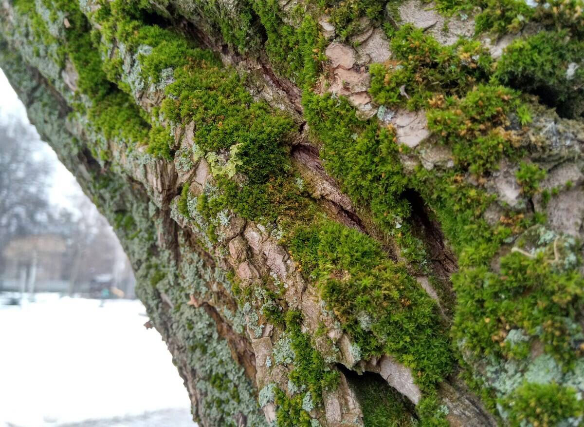 oksana-savinova-JHKYgBNSs8Q-unsplash