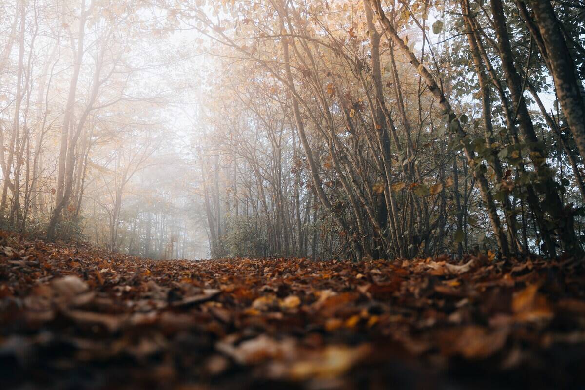 pascal-debrunner-WGyIq07D3kY-unsplash