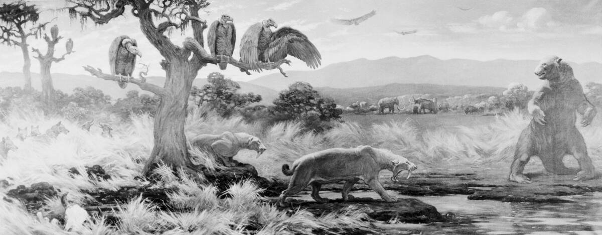 Prehistoric Animals Roaming