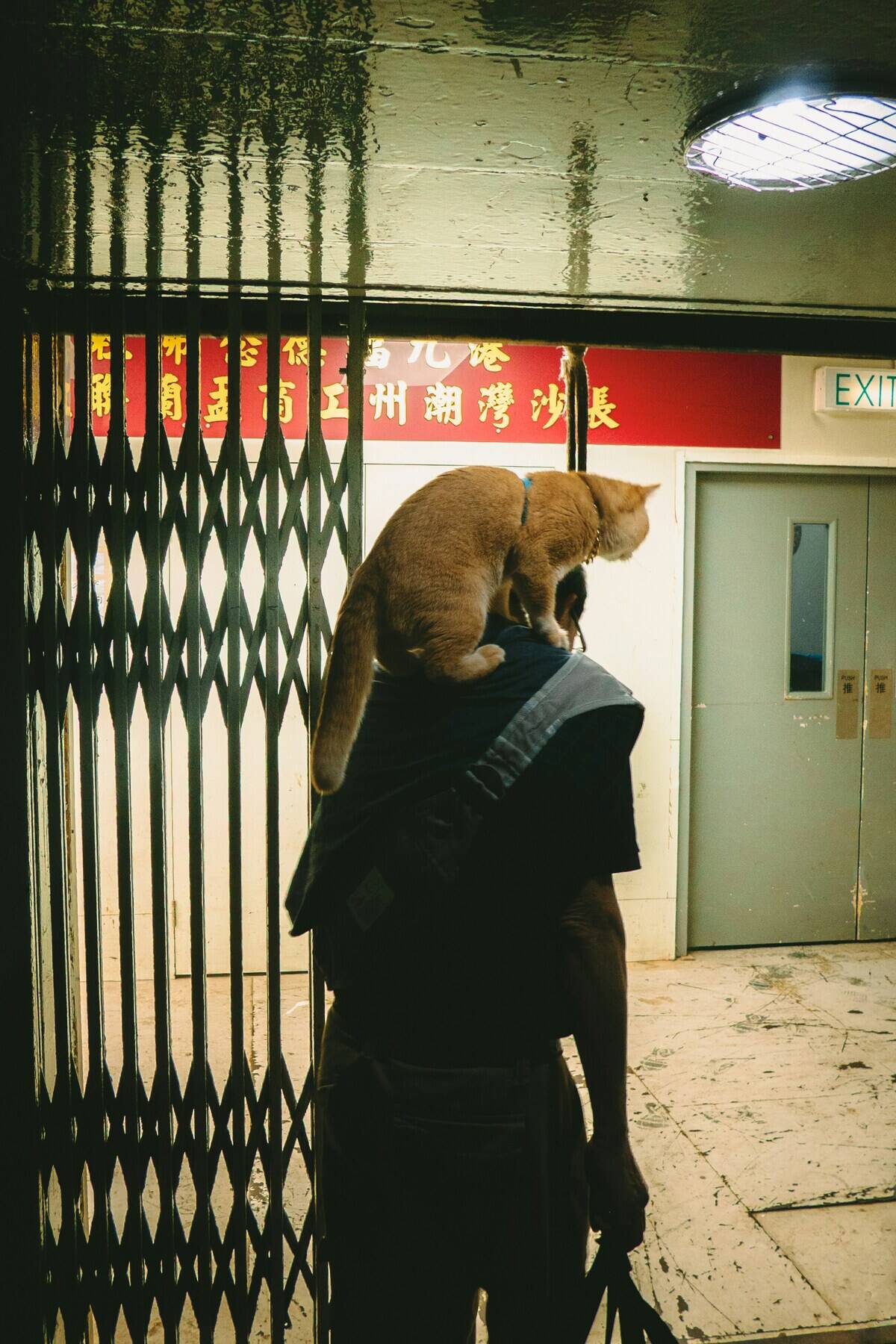 raymond-yeung-gBYuuqzov_s-unsplash