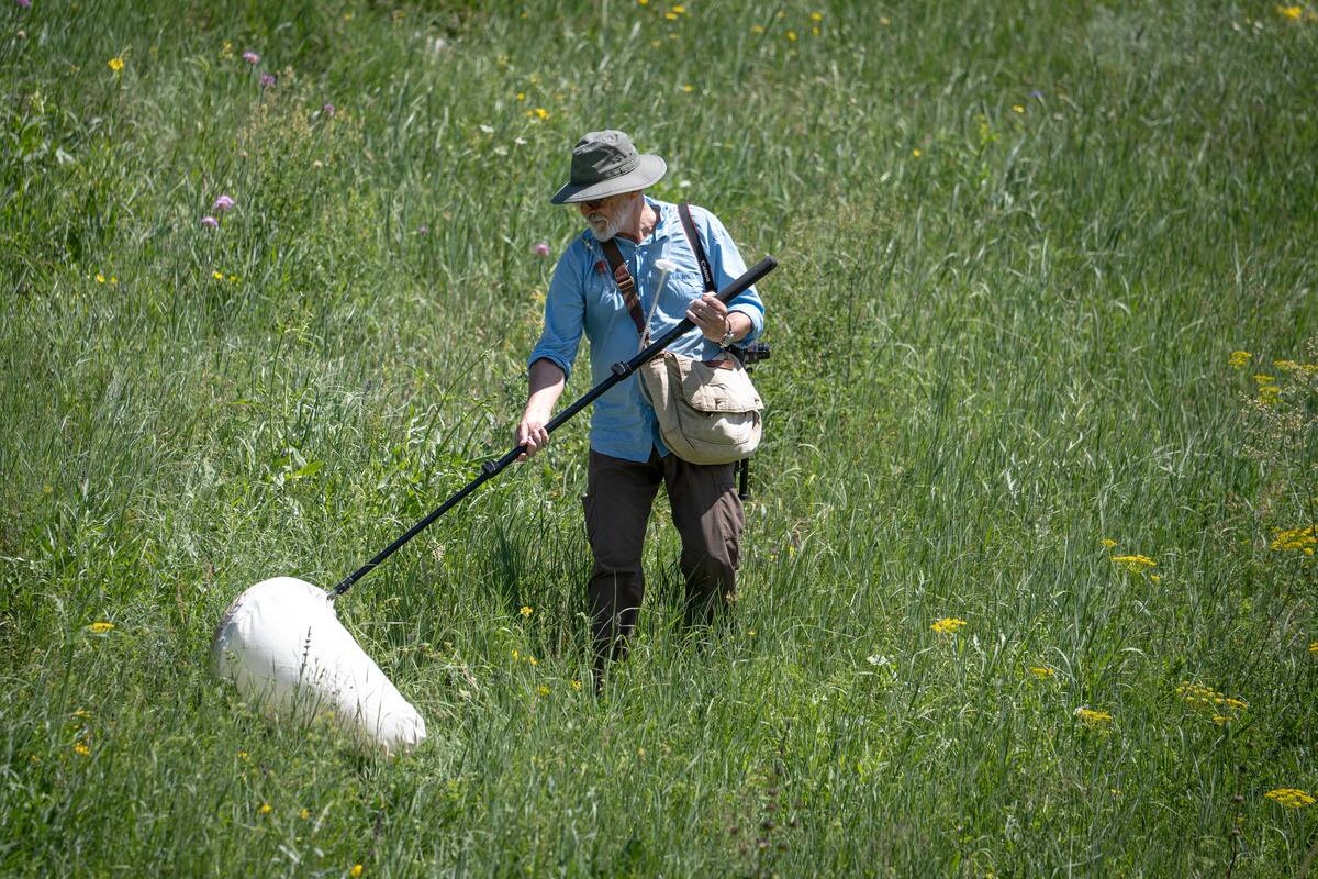 Research on Turkiye's biodiversity conducted in various regions