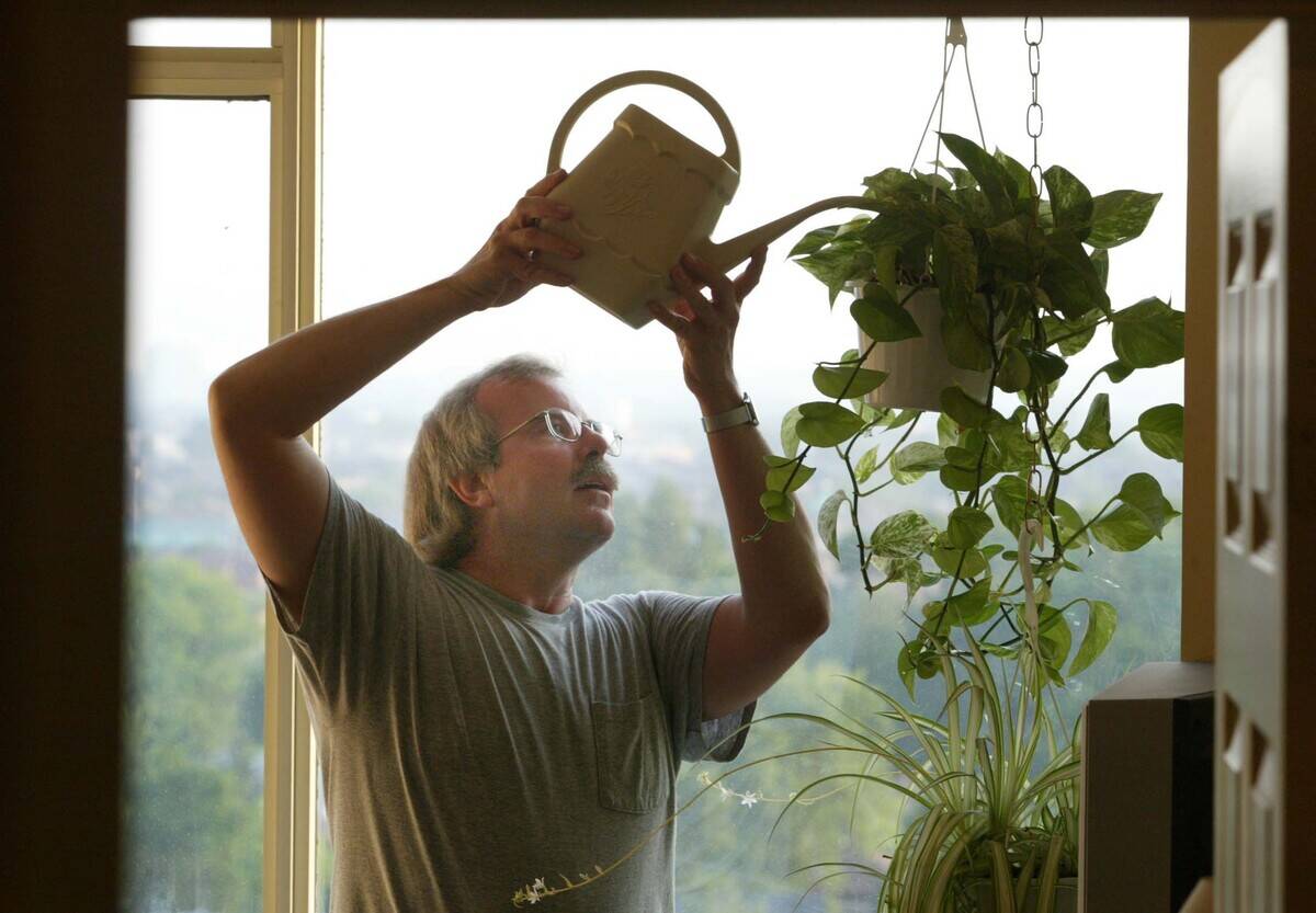 Richard _AS01-06-30-03-pix of Richard has about 36 plants in his tiny 575-foot condo in Mississauga.