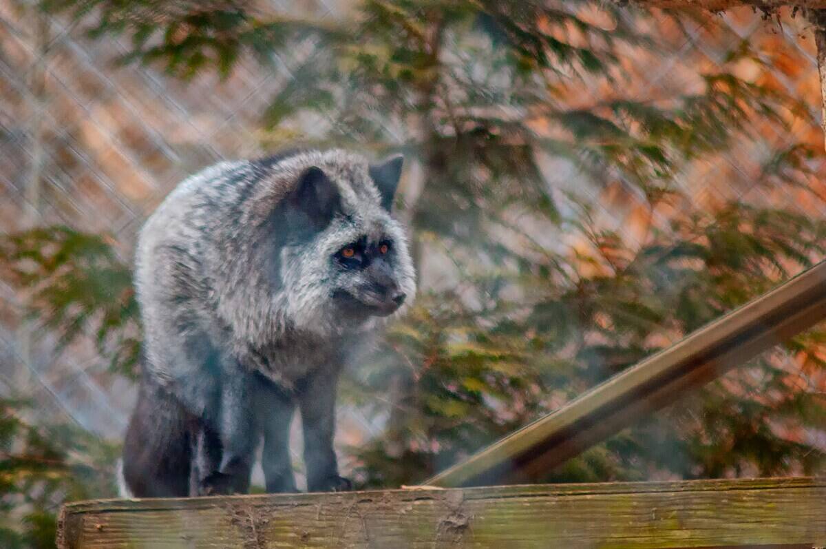 robert-thiemann-OsSi-fBjuVY-unsplash