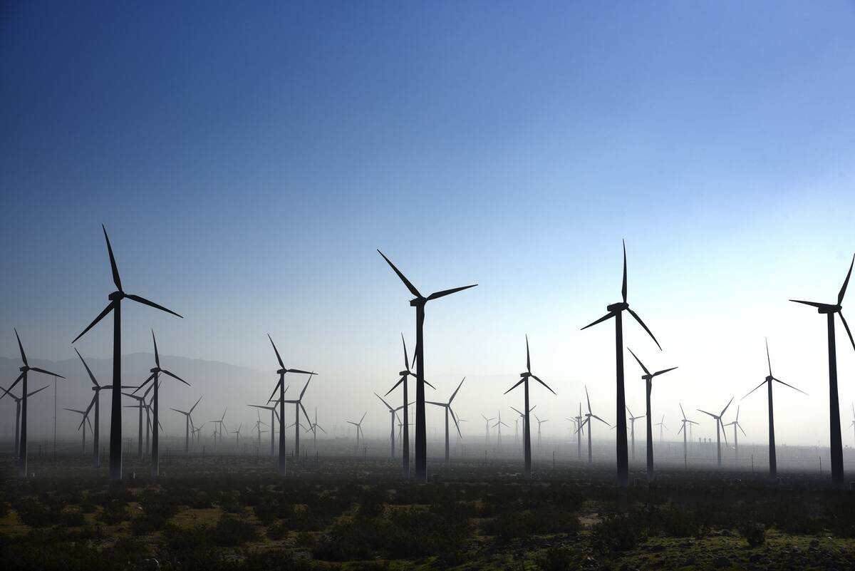 San Gorgonio Pass Wind Farm in Palm Springs, California
