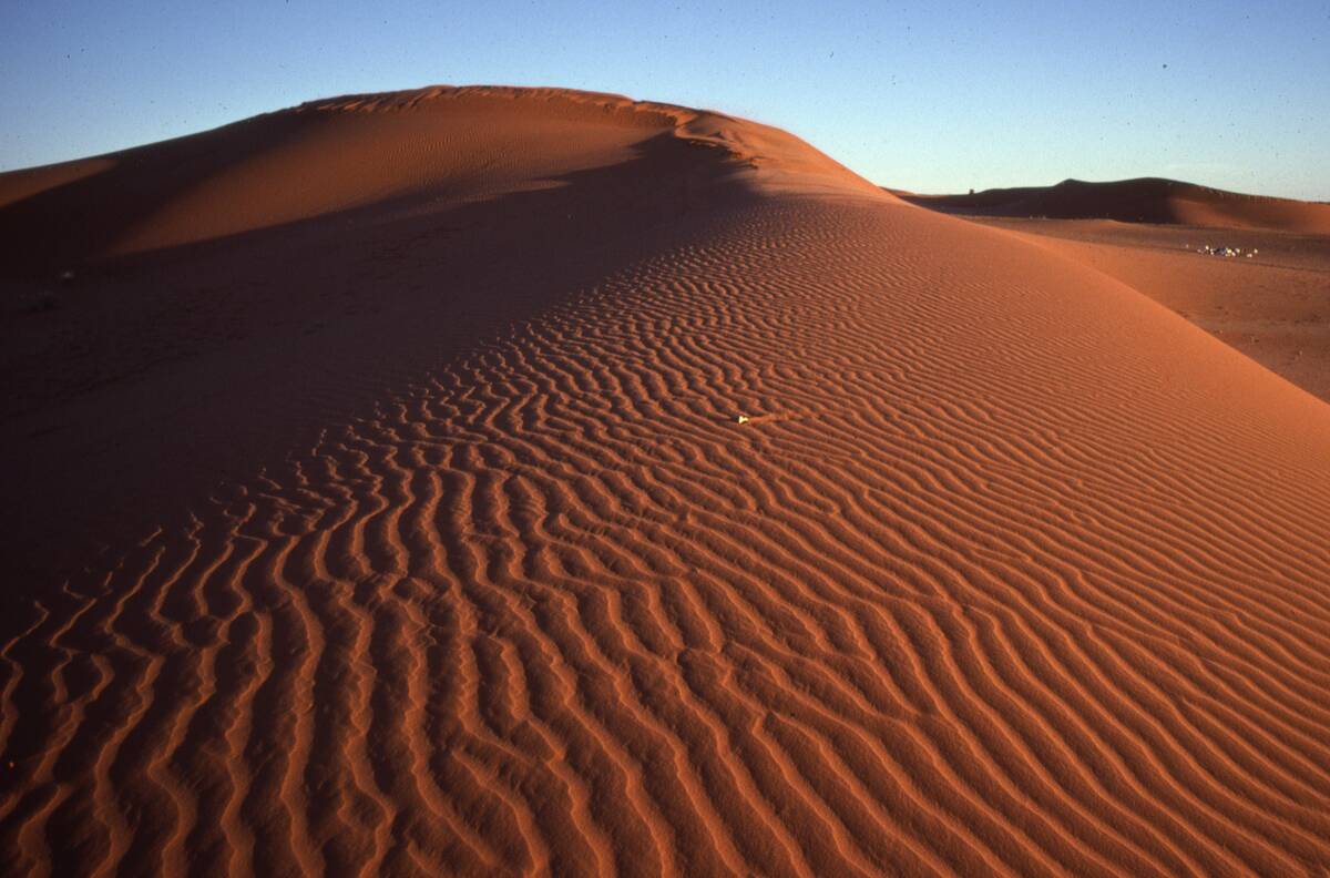 Sand Dunes In The Kalahari