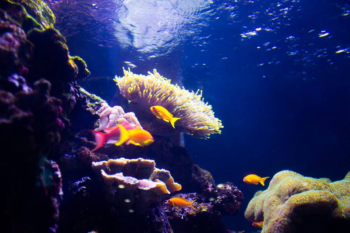 shelby-cohron-bsyLoFbHlNk-unsplash