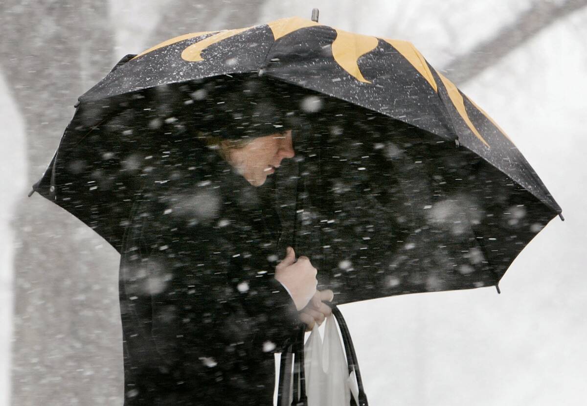 Snow Falls On The Nation's Capital