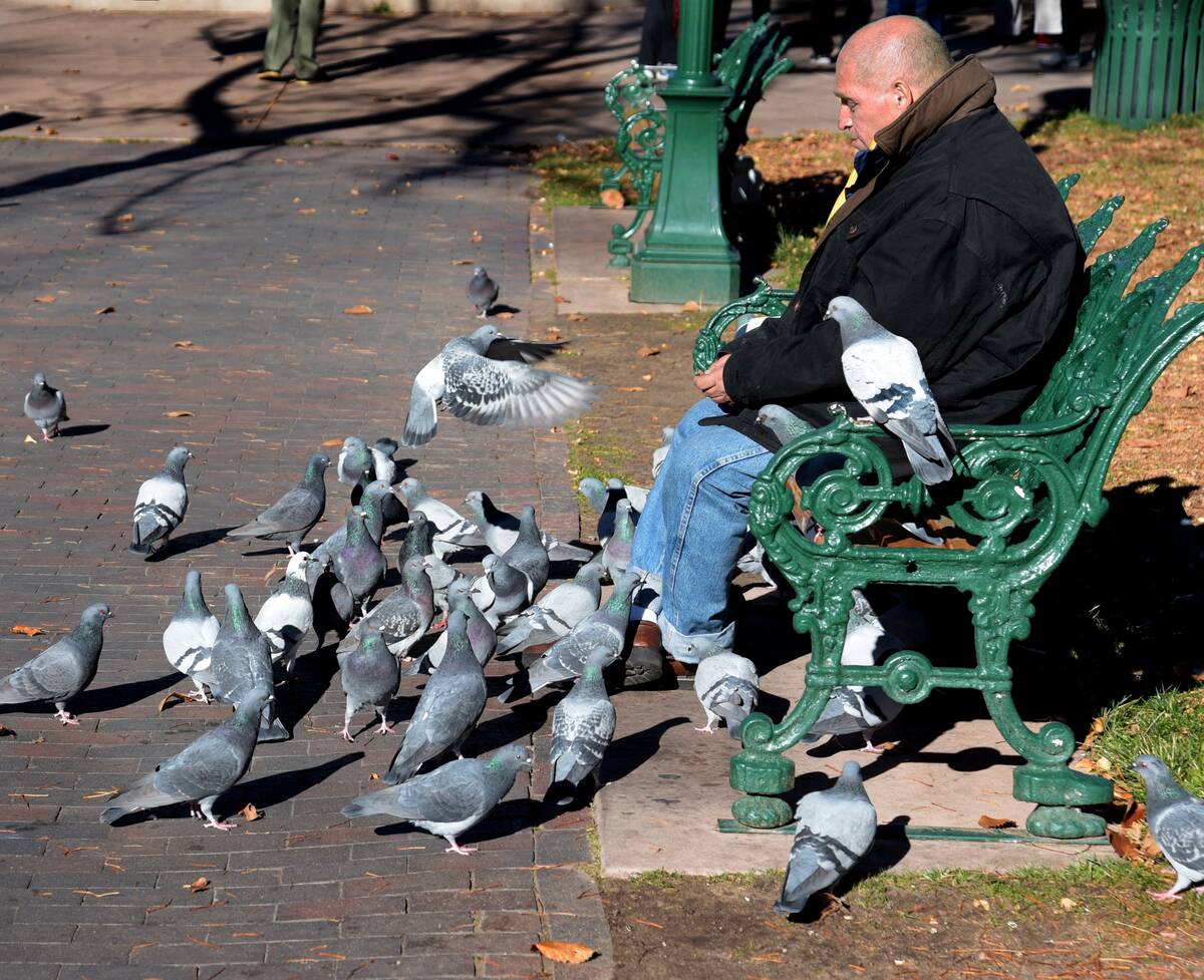 Southwest USA scenics