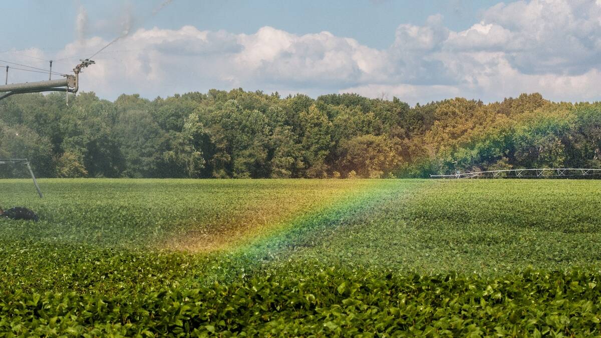 Sprinkler Rainbow