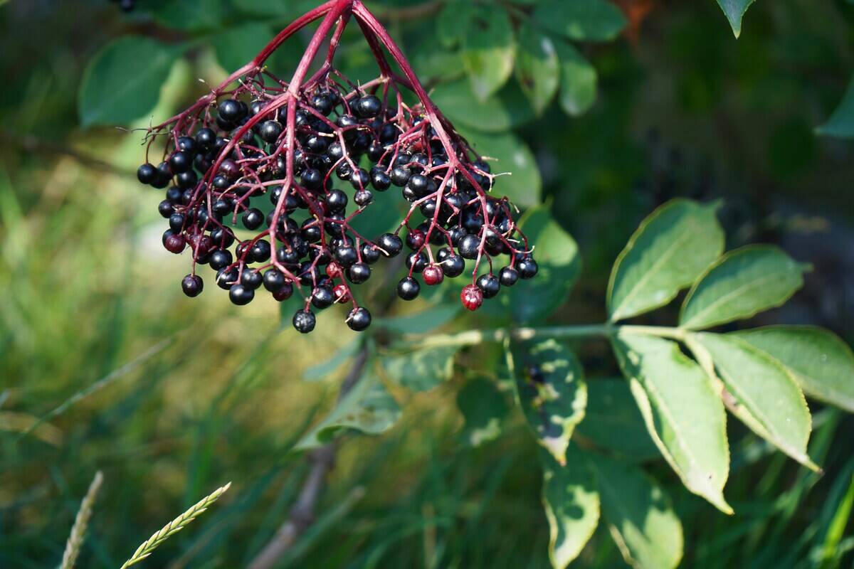 tadeusz-zachwieja-V-81z1ul0TU-unsplash