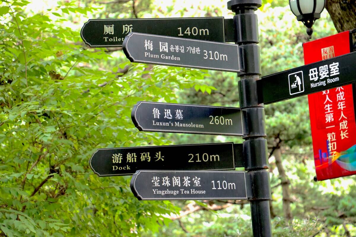 taha-atRaI-taleM-unsplash