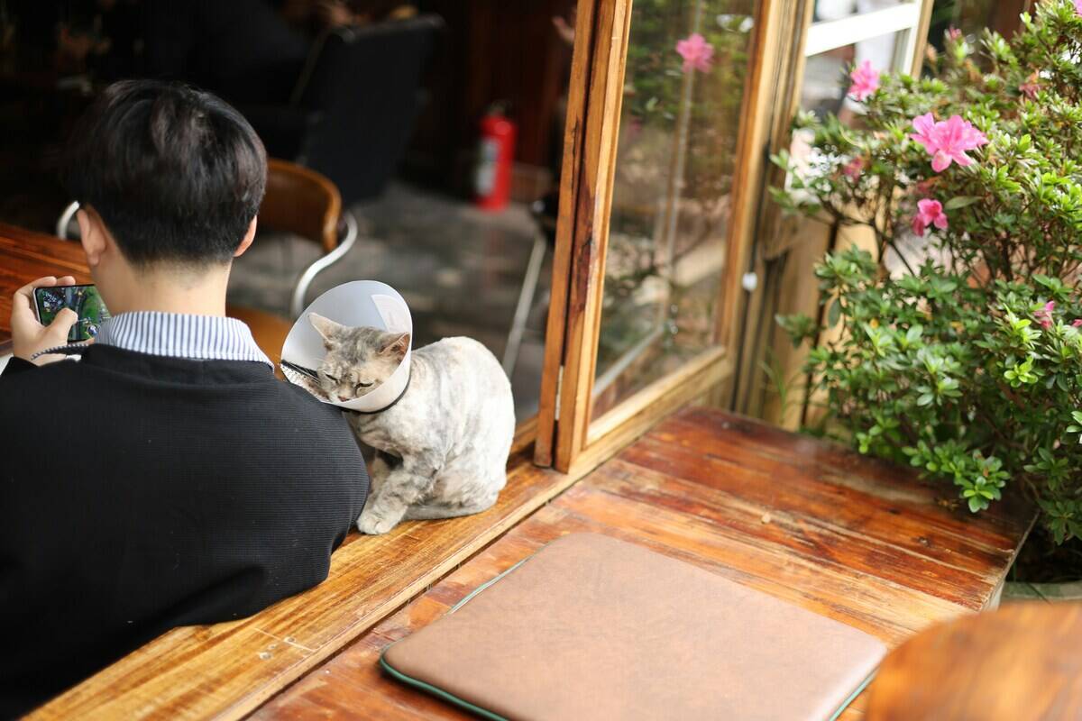 th-c-tr-n-wlwTDr10PjM-unsplash