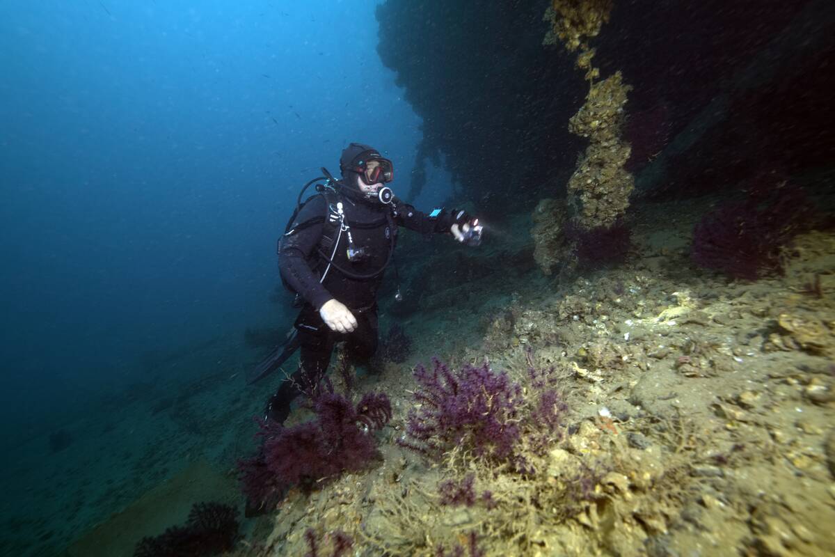 The Captain Frangos wreck in the depths of the Canakkale Strait