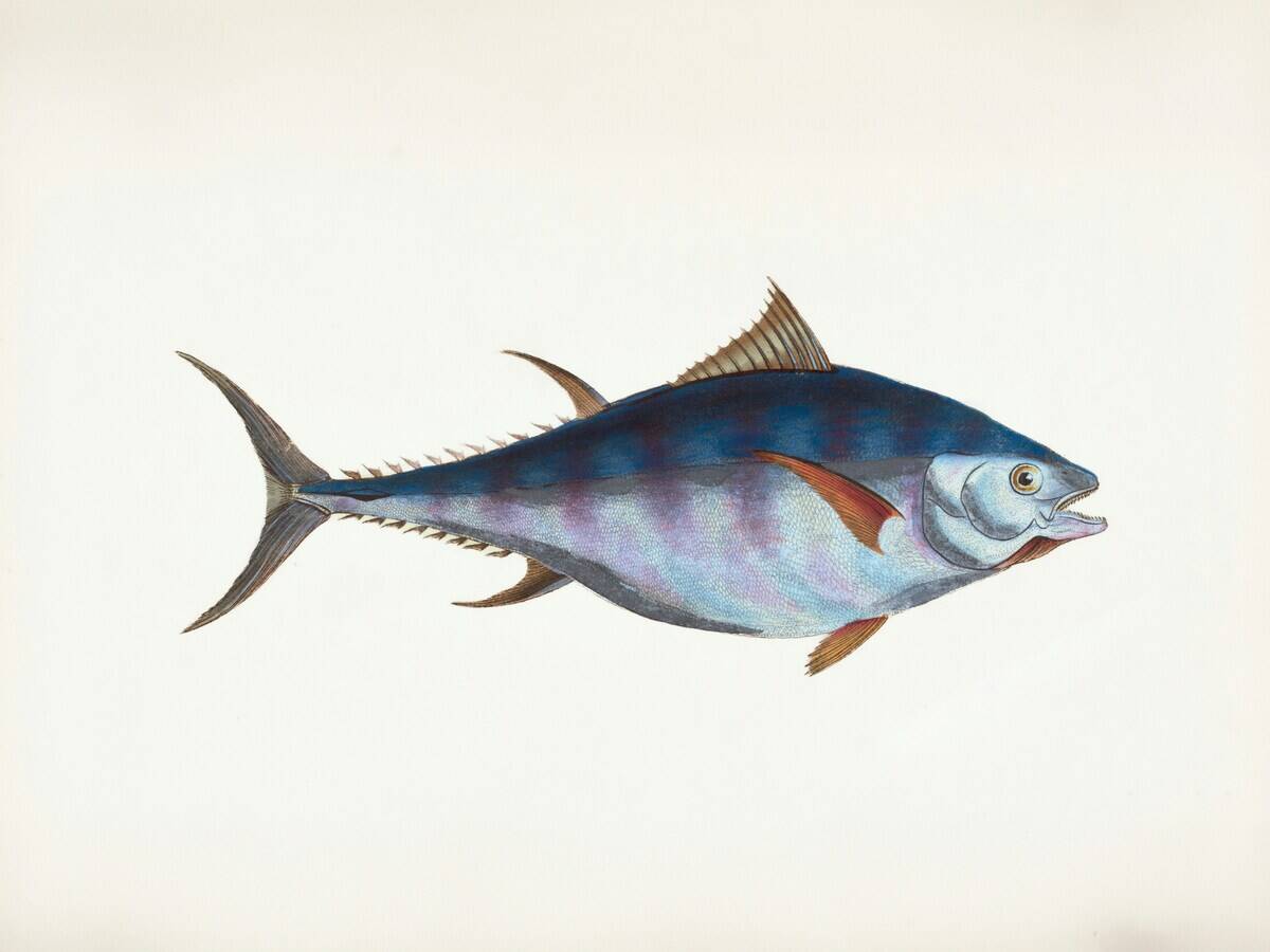 the-new-york-public-library-bi8r36kz4uQ-unsplash