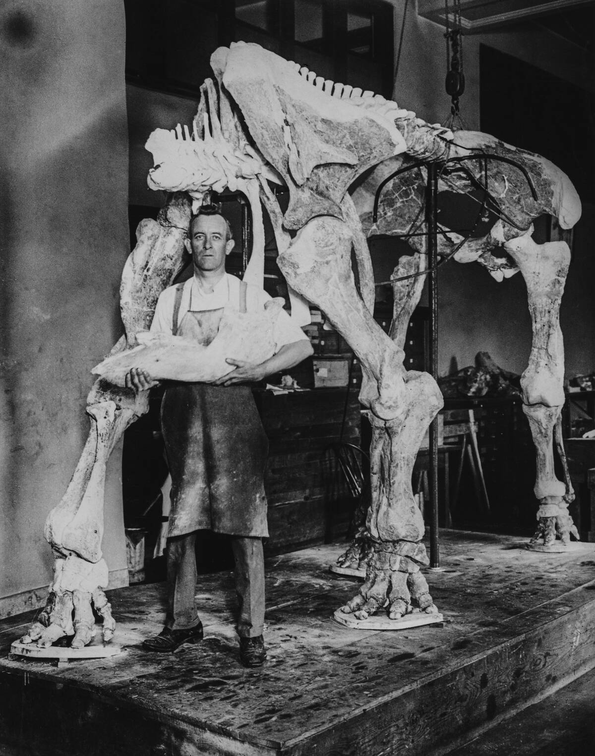 Thomas J Horne, American Palaeontologist