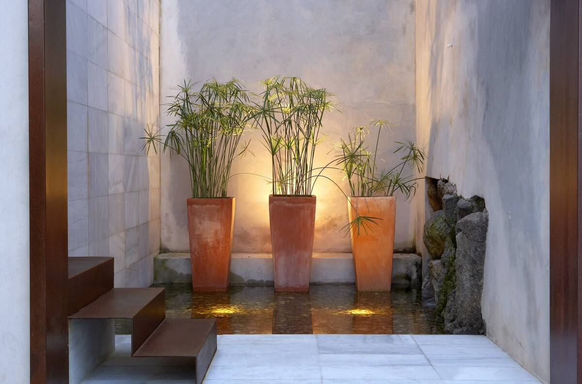 Tiled marble wall with houseplant and door steps
