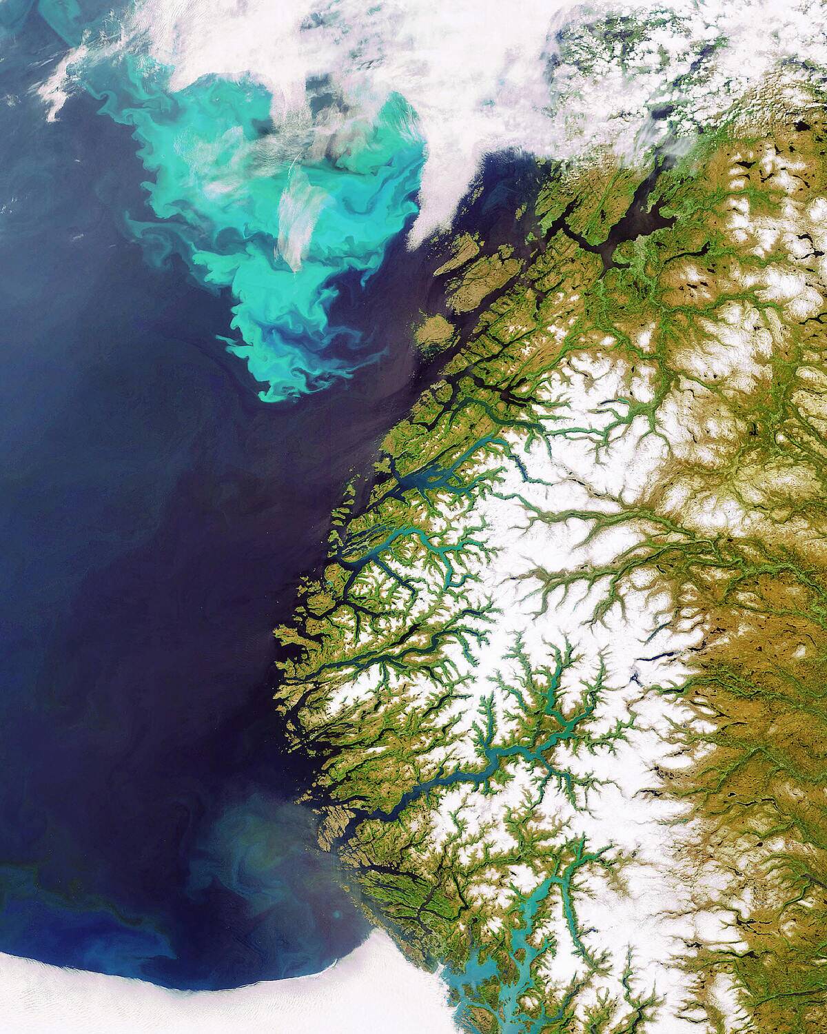 TO GO WITH AFP FRENCH STORY BY PATRICK B...