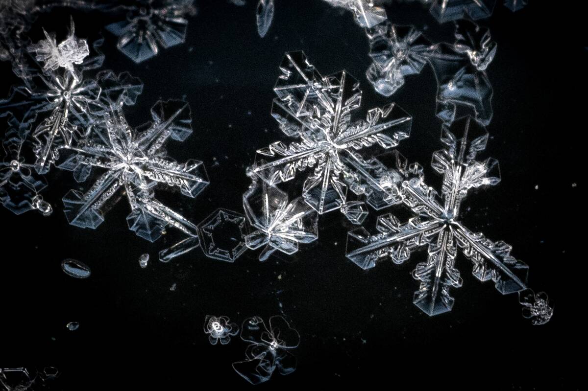 TOPSHOT-ENVIRONMENT-FINLAND-SNOW-FLAKE-WINTER
