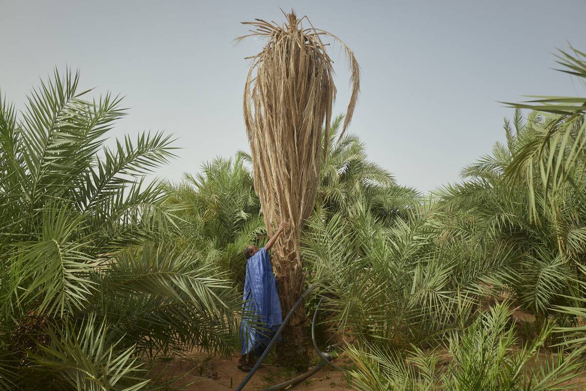 TOPSHOT-MAURITANIA-CLIMATE-AGRICULTURE