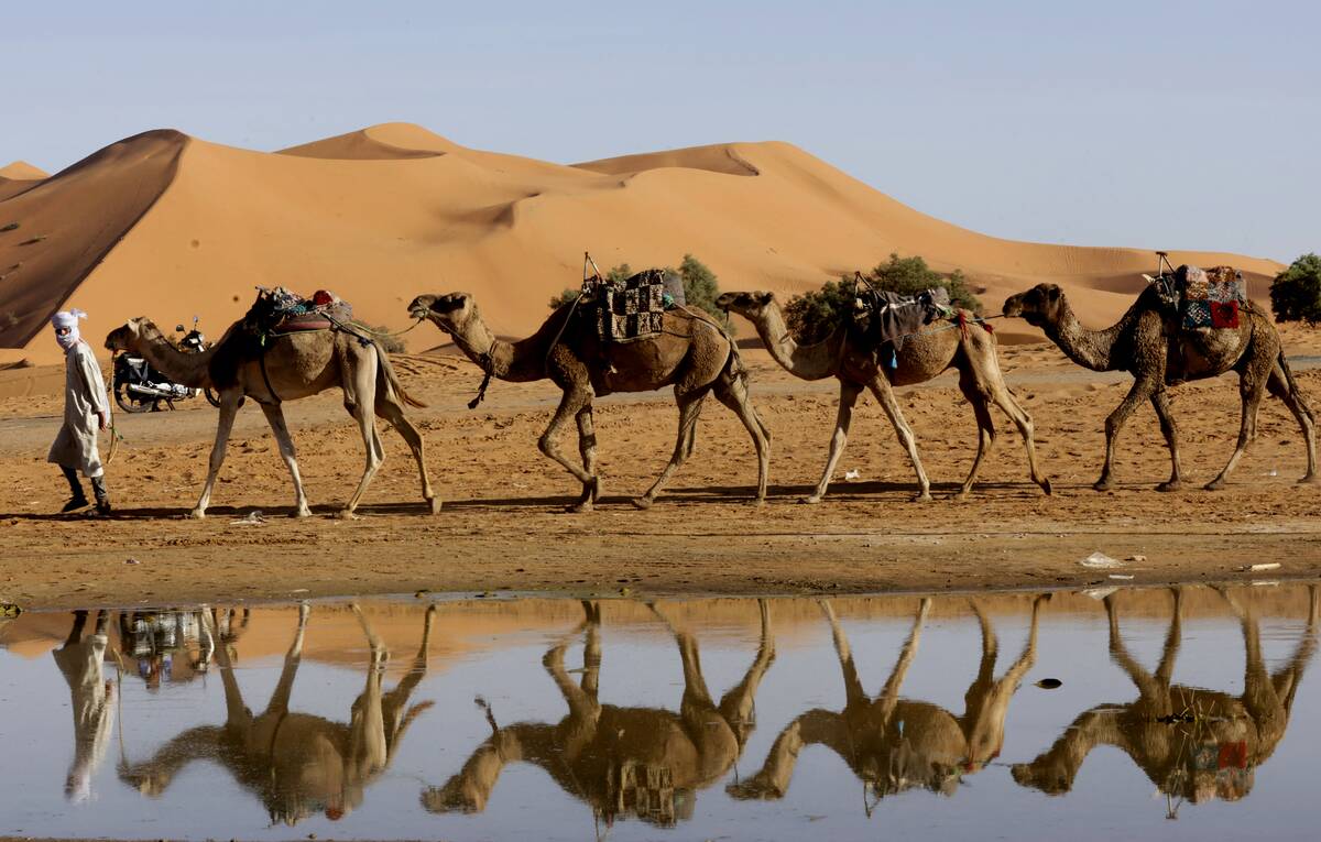 TOPSHOT-MOROCCO-WEATHER-CLIMATE-FLOODING-SAHARA