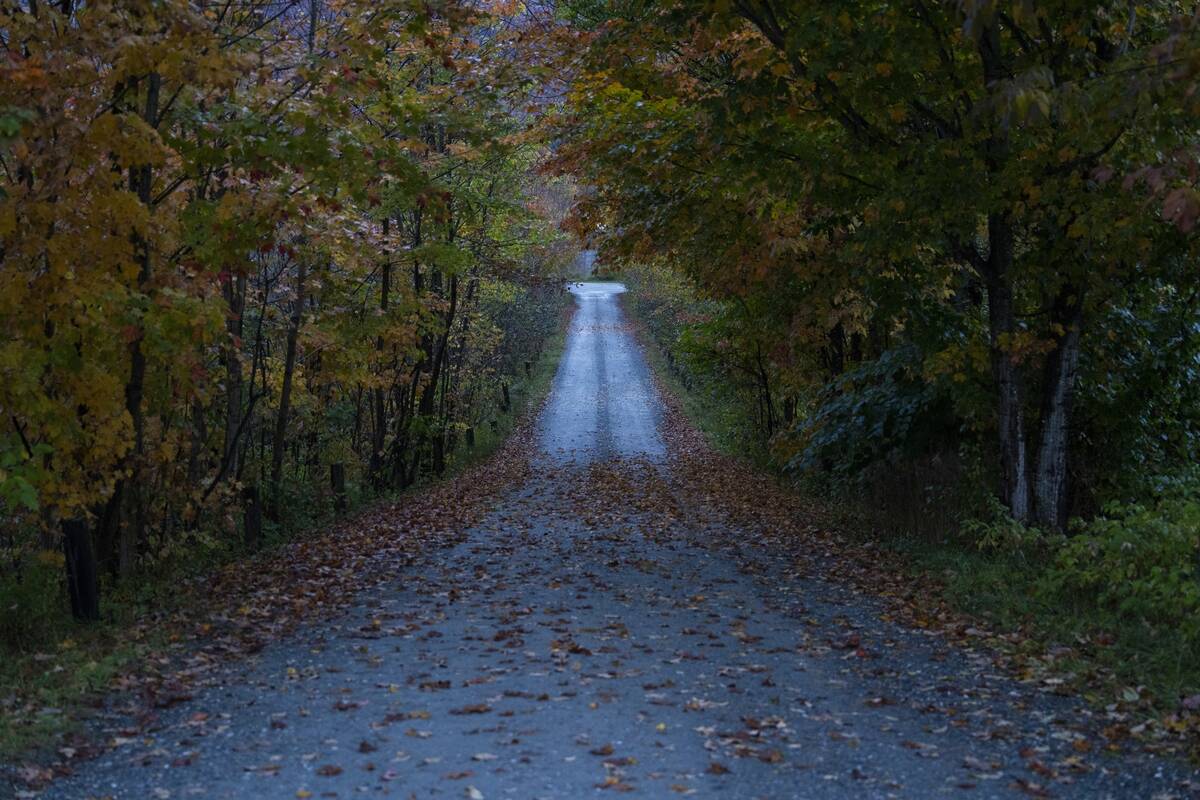 Tourists Flock To Vermont To See The Green Mountain State's Fall Foliage