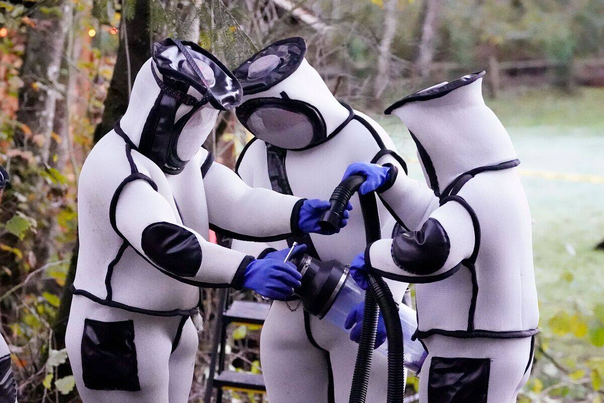 US-MURDER-HORNETS-NEST