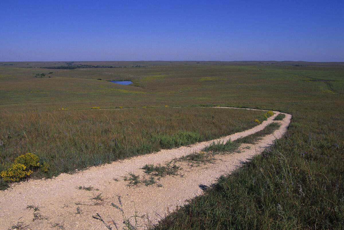 USA, Kansas, Flint Hills, Near Strong City, Tallgrass...