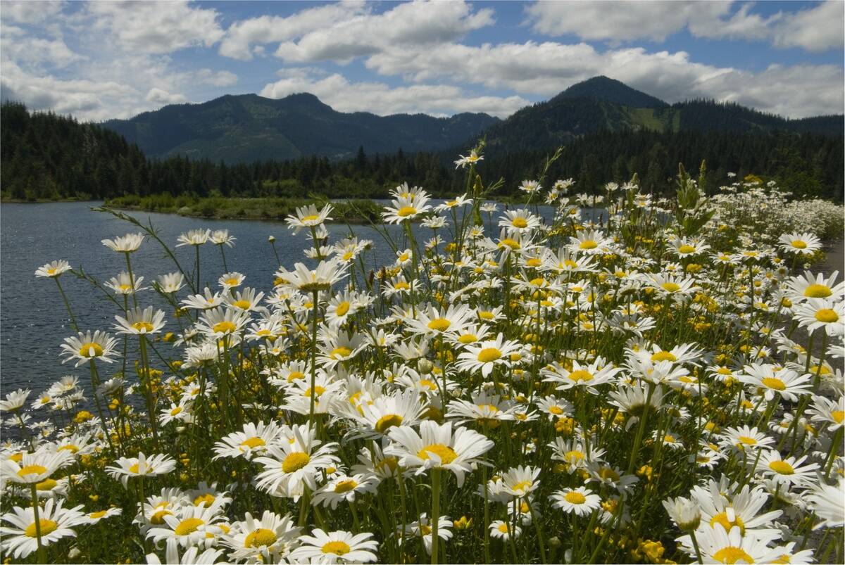 USA, Washington State, Cascade Mountains Near Snoqualmie...