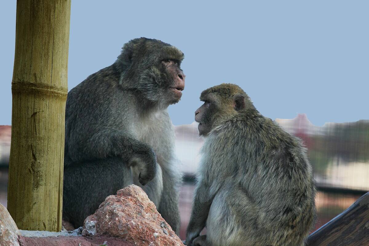 vasilis-caravitis-38uptSYNxNM-unsplash