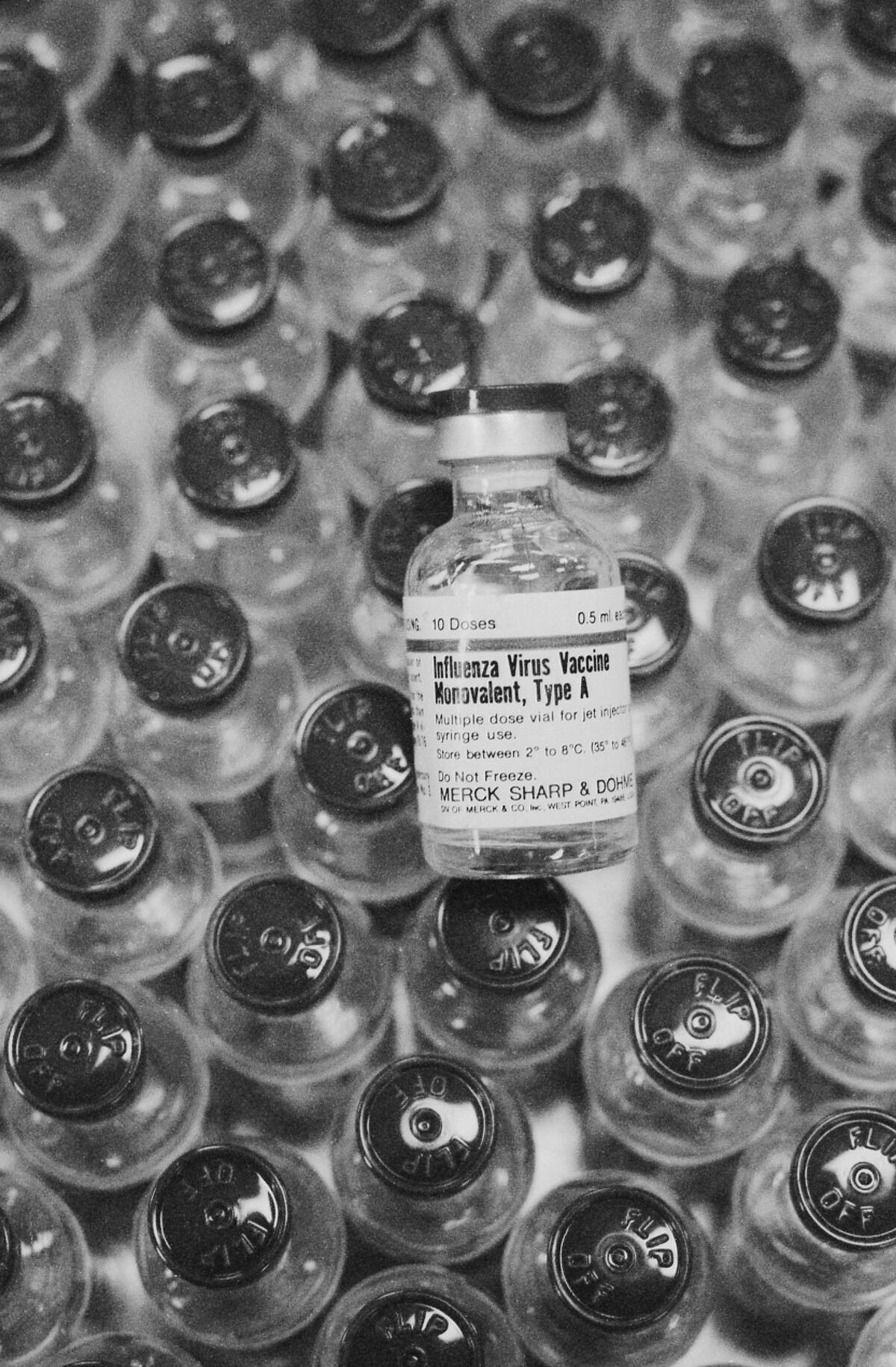 Vials Containing Swine Flu Vaccine