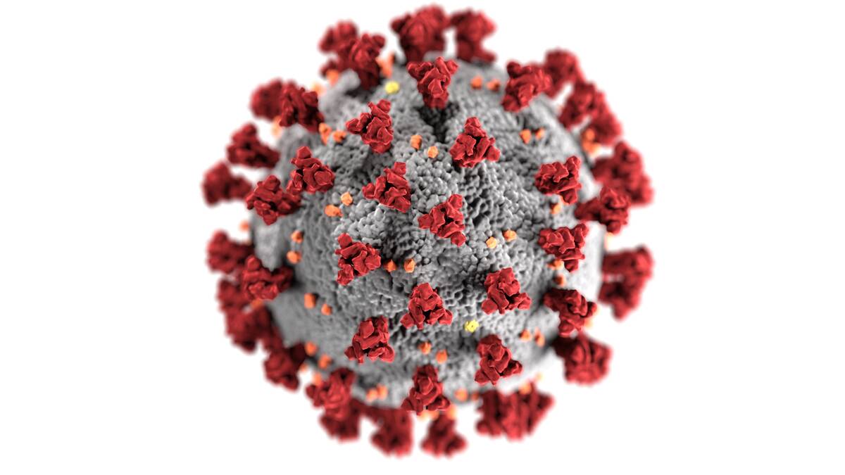 Virus COVID-19