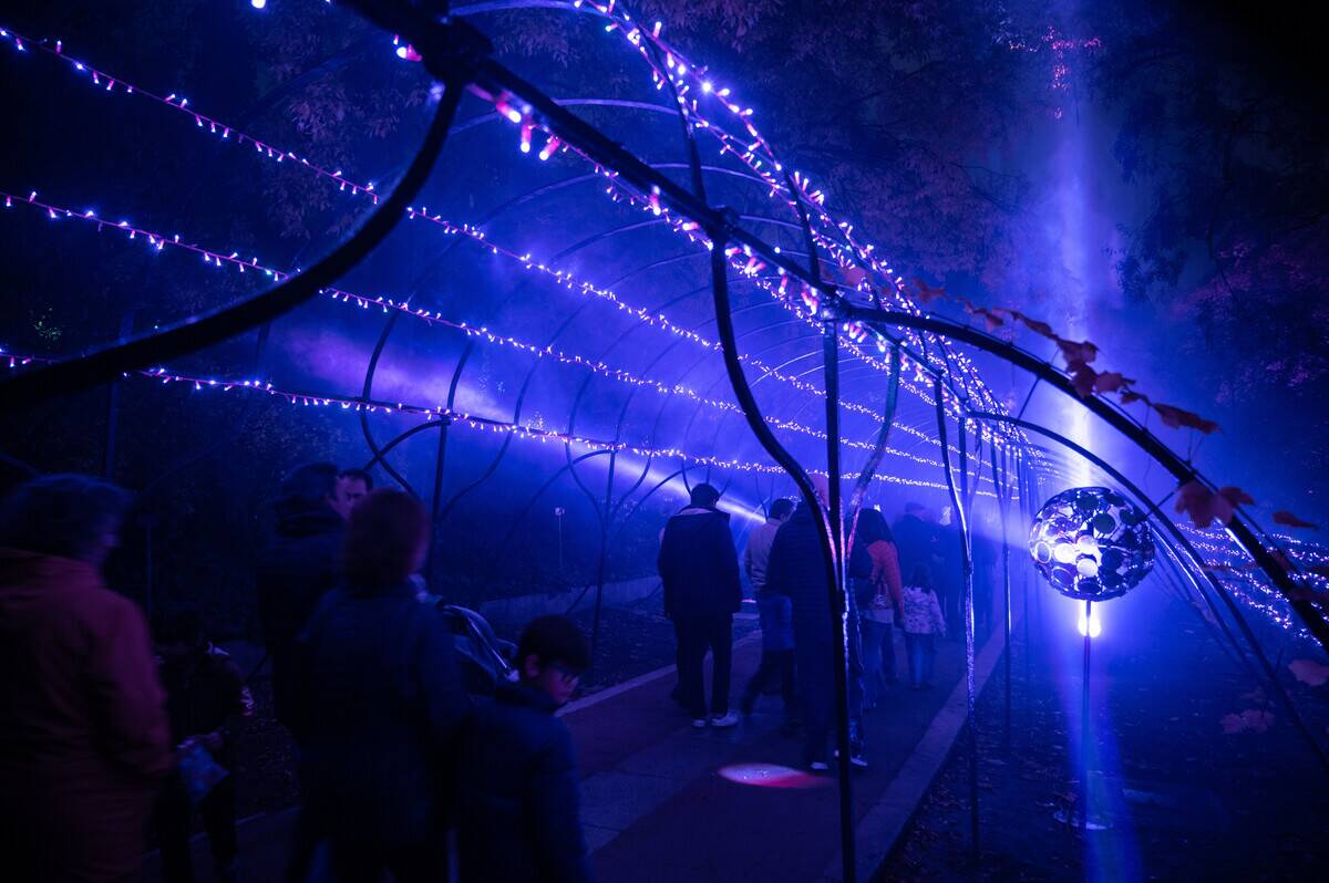 Visitors at the light installation 'Naturaleza Encendida' in...