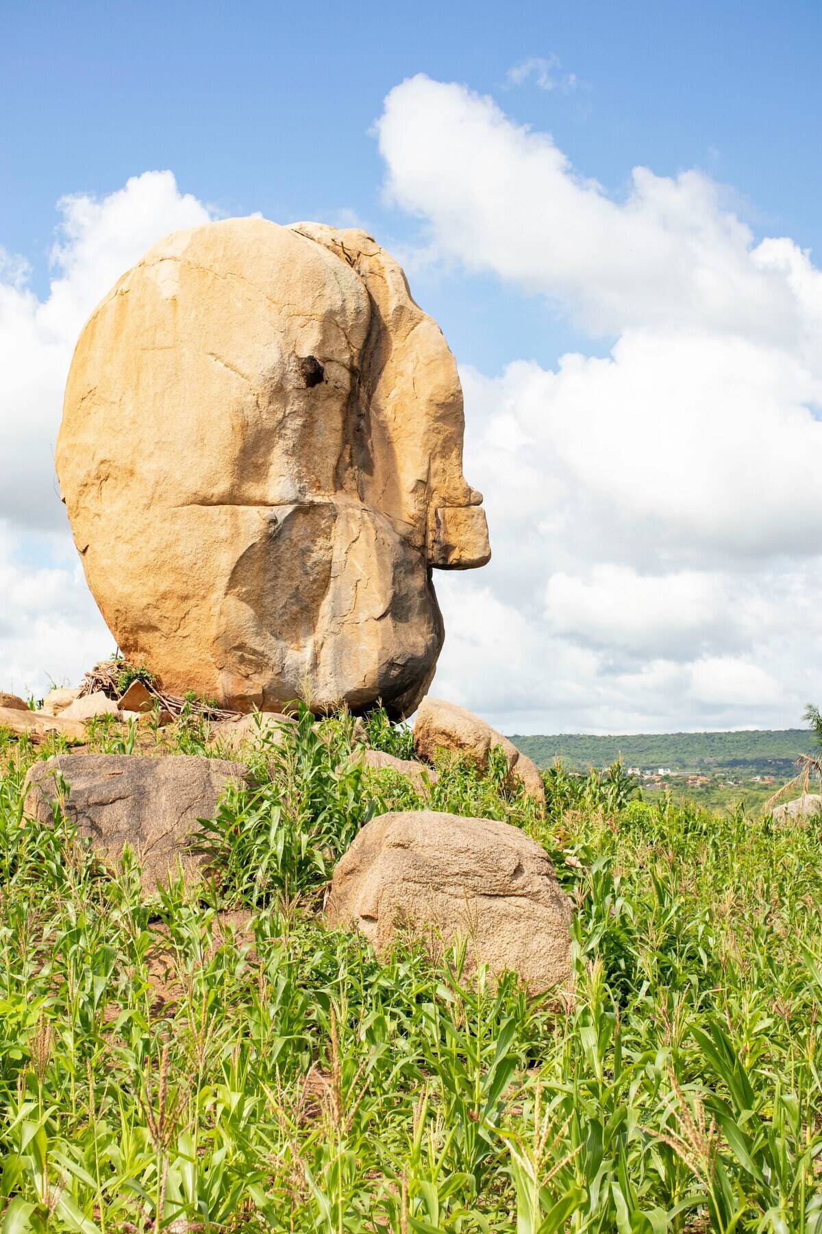 vitor-paladini-8Hd9e-AiSA4-unsplash