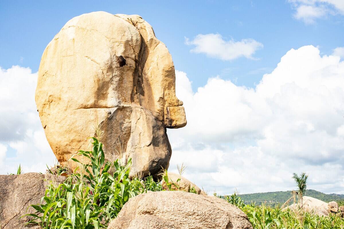 vitor-paladini-buNPyTmI36Q-unsplash