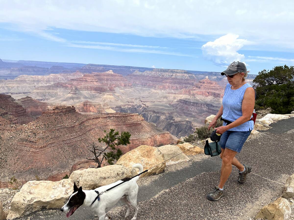 Walk the Trail of Time from South Rim of Grand Canyon National Park, Arizona, USA