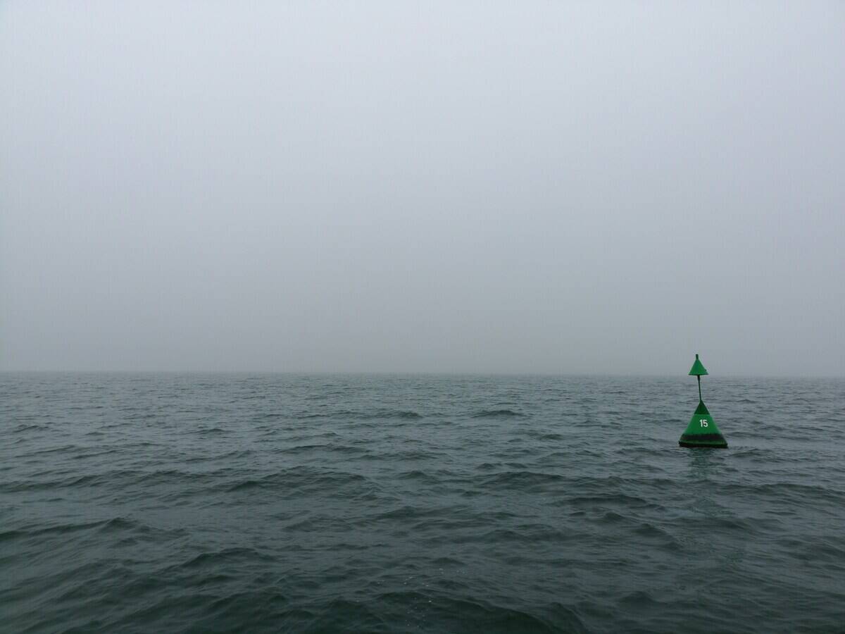 wurzelwerk-agentur-x1sHPWM56JE-unsplash