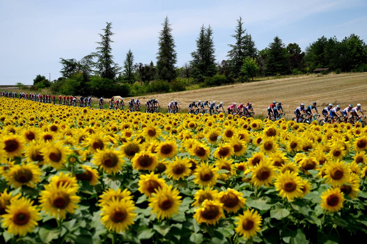 110th Tour de France 2023 - Stage 8